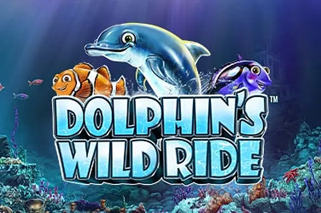 Dolphin’s Wild Ride