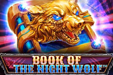 Book Of The Night Wolf