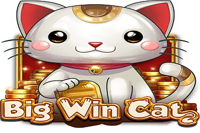 Big Win Cat