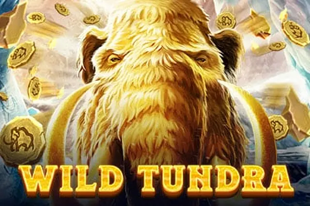 Wild Tundra