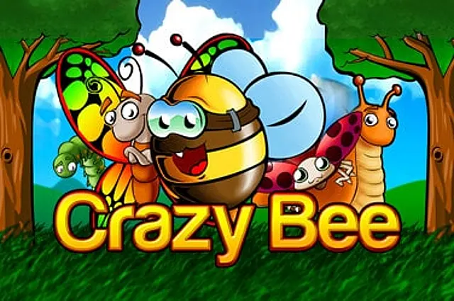Crazy Bee