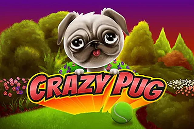 Crazy Pug