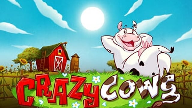 Crazy Cows