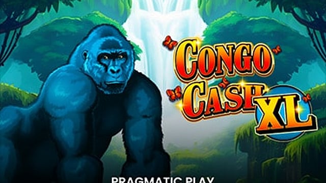 Congo Cash XL