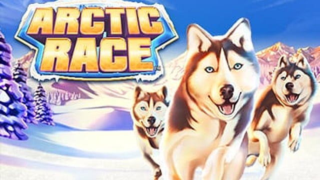 Arctic Race