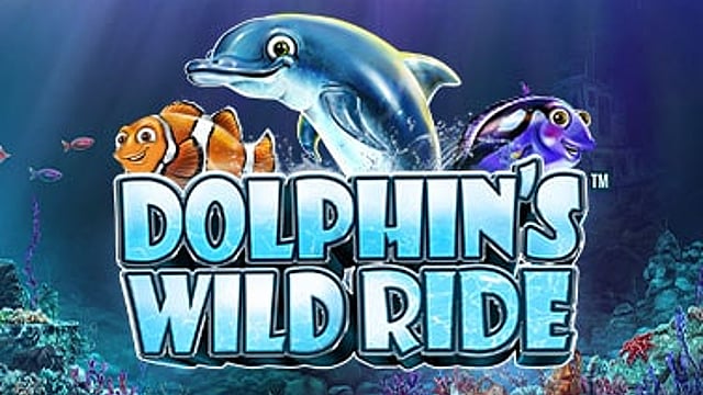 Dolphin’s Wild Ride