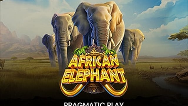 African Elephant™