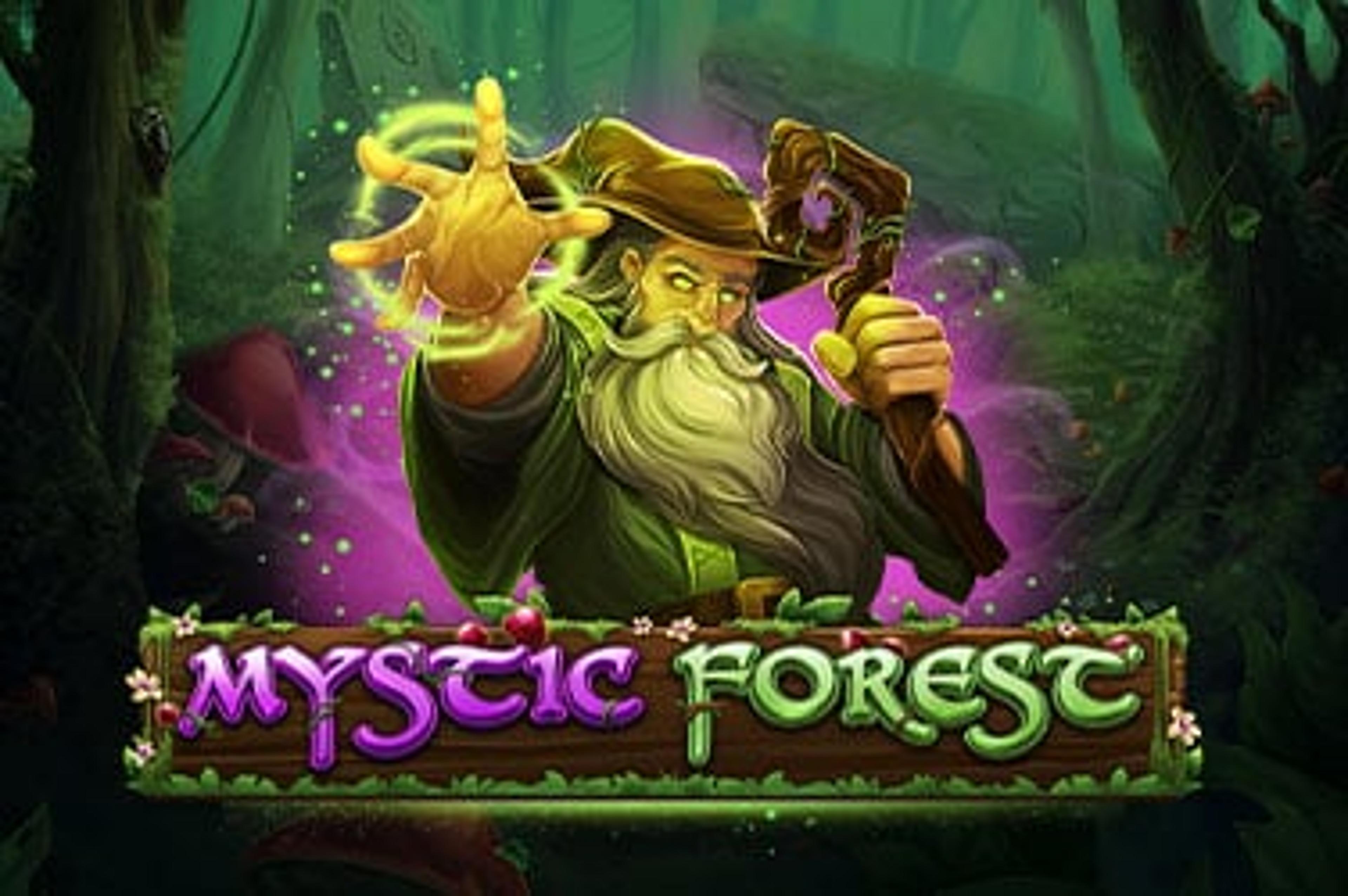 Mystic Forest