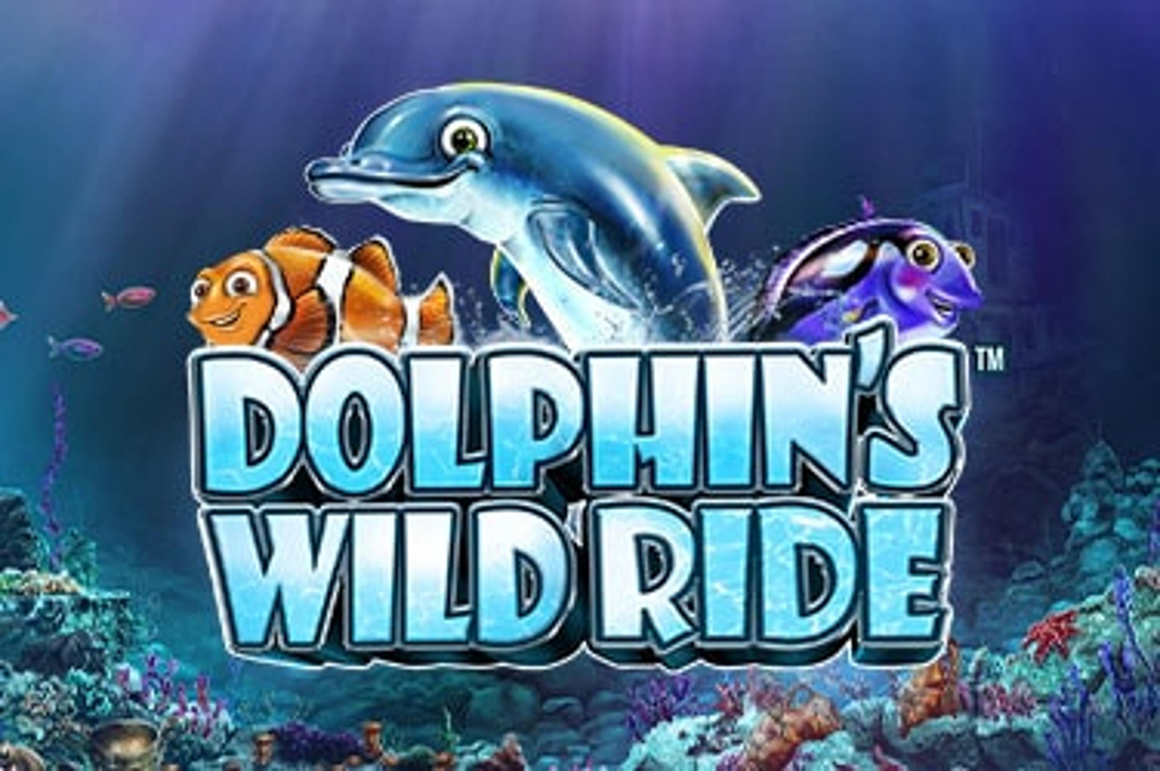 Dolphin’s Wild Ride