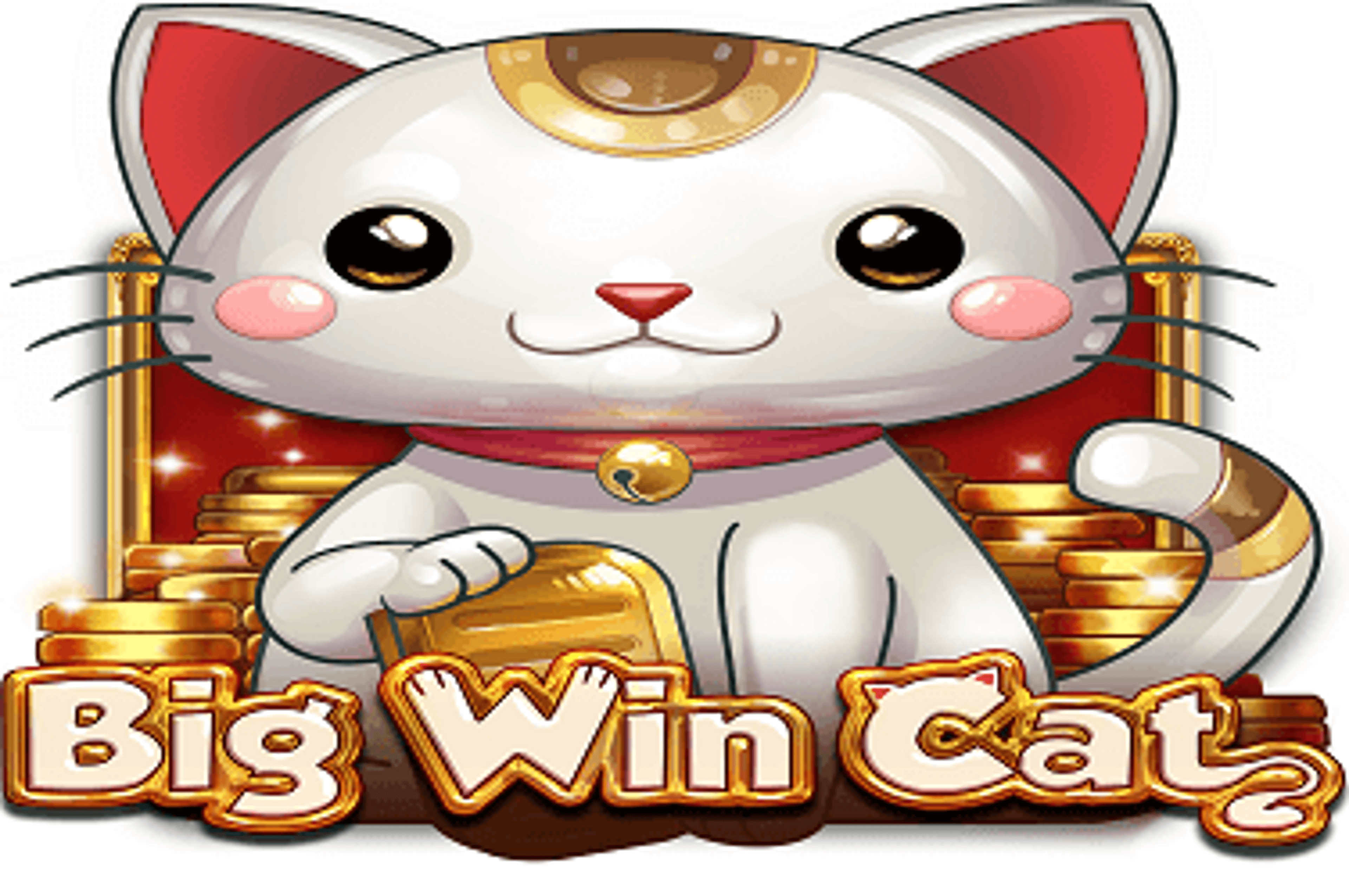 Big Win Cat