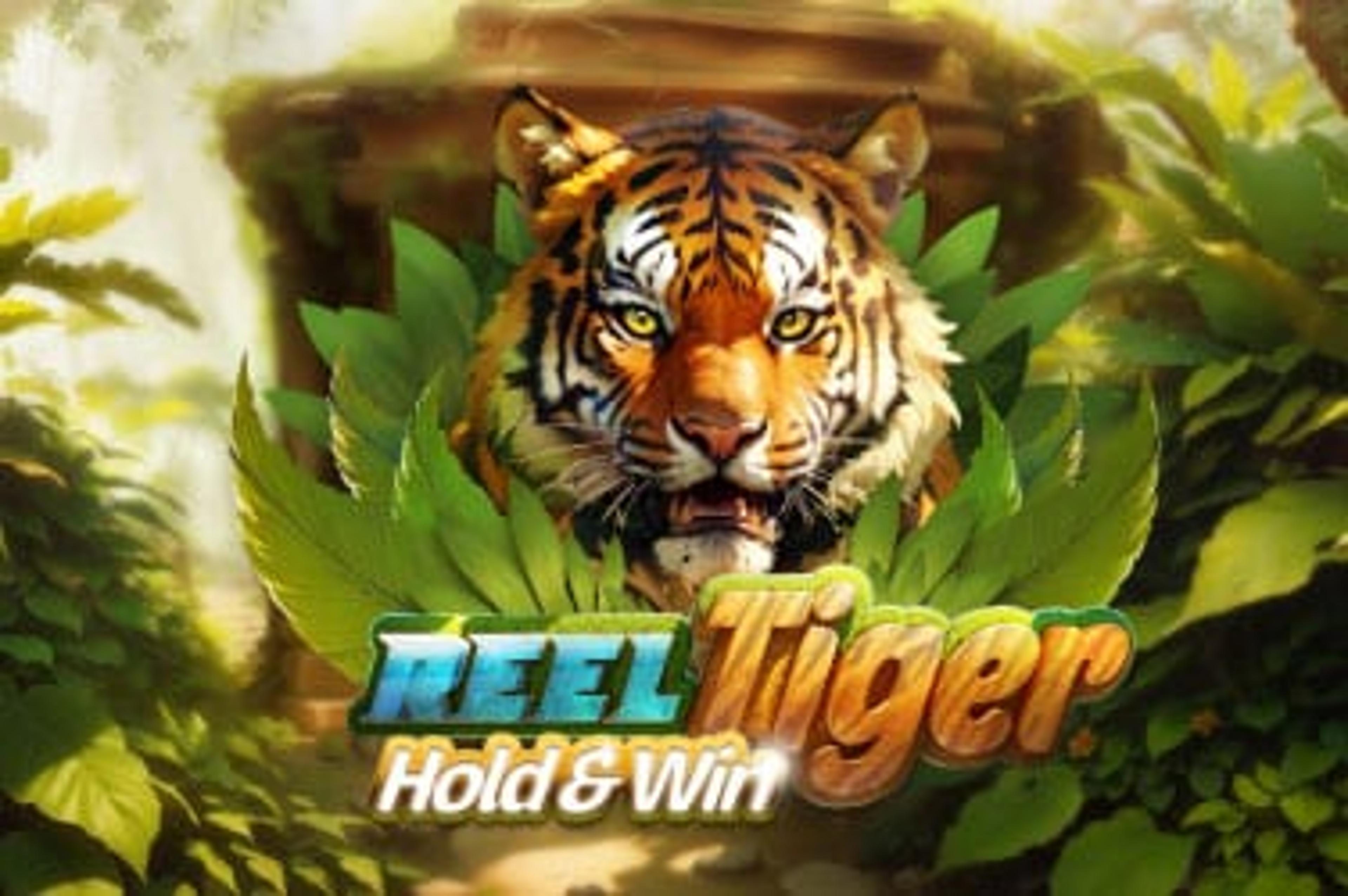 Reel Tiger