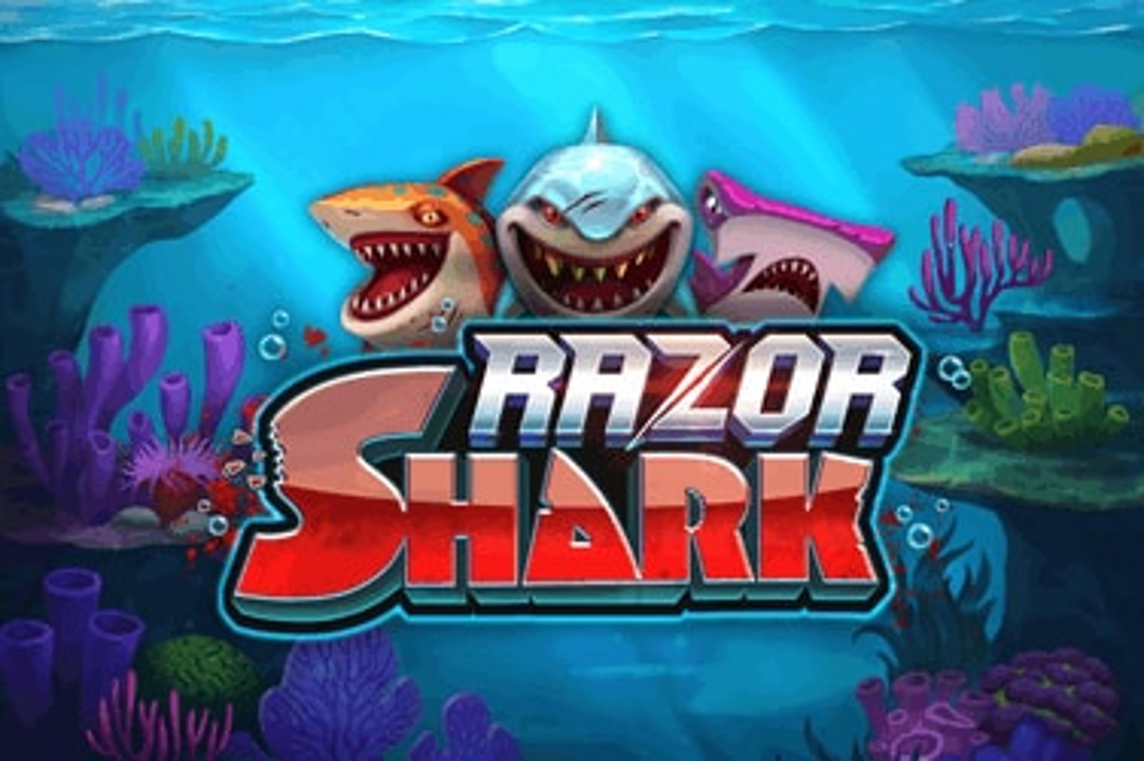 Razor Shark