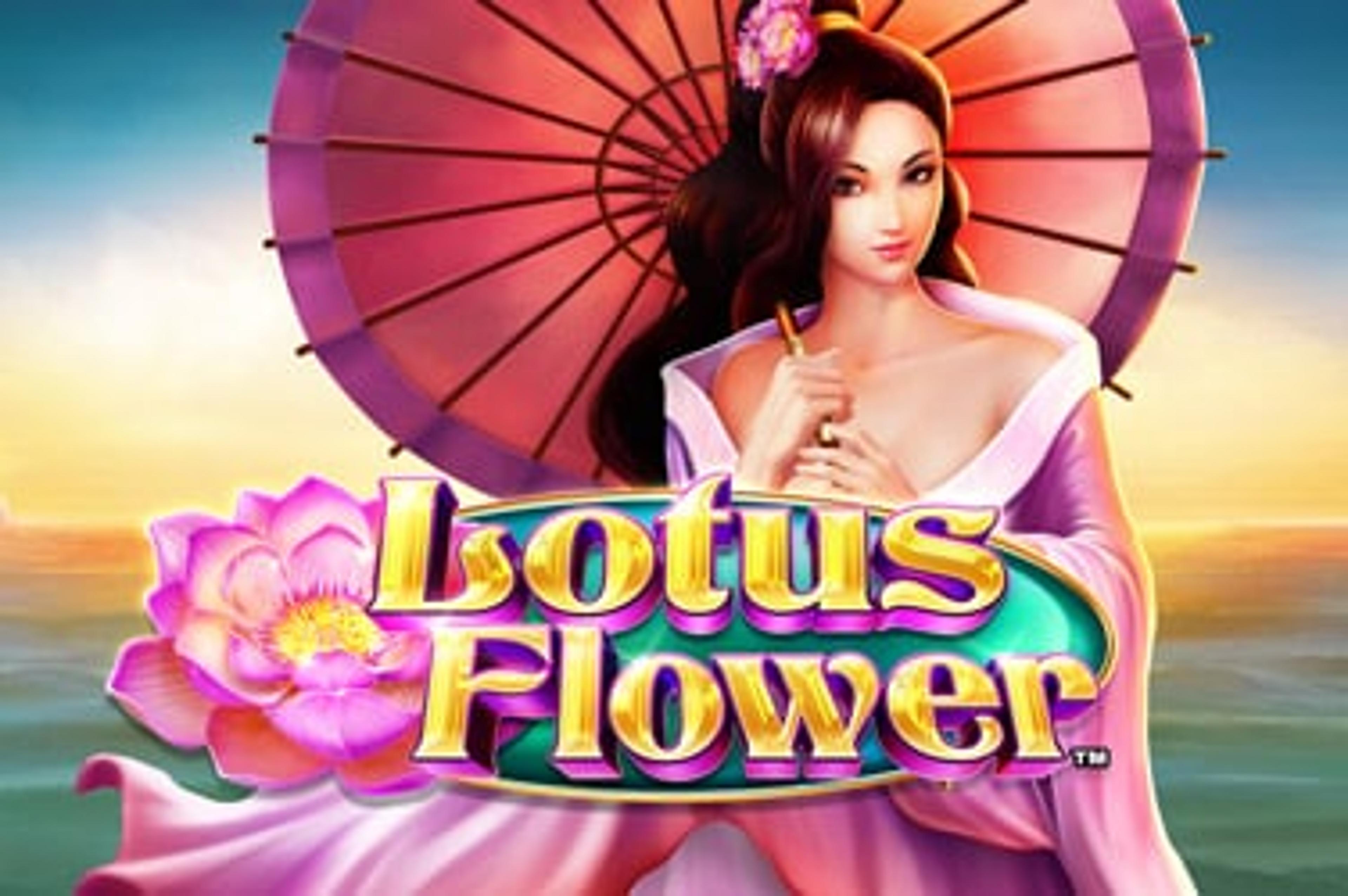 Lotus Flower