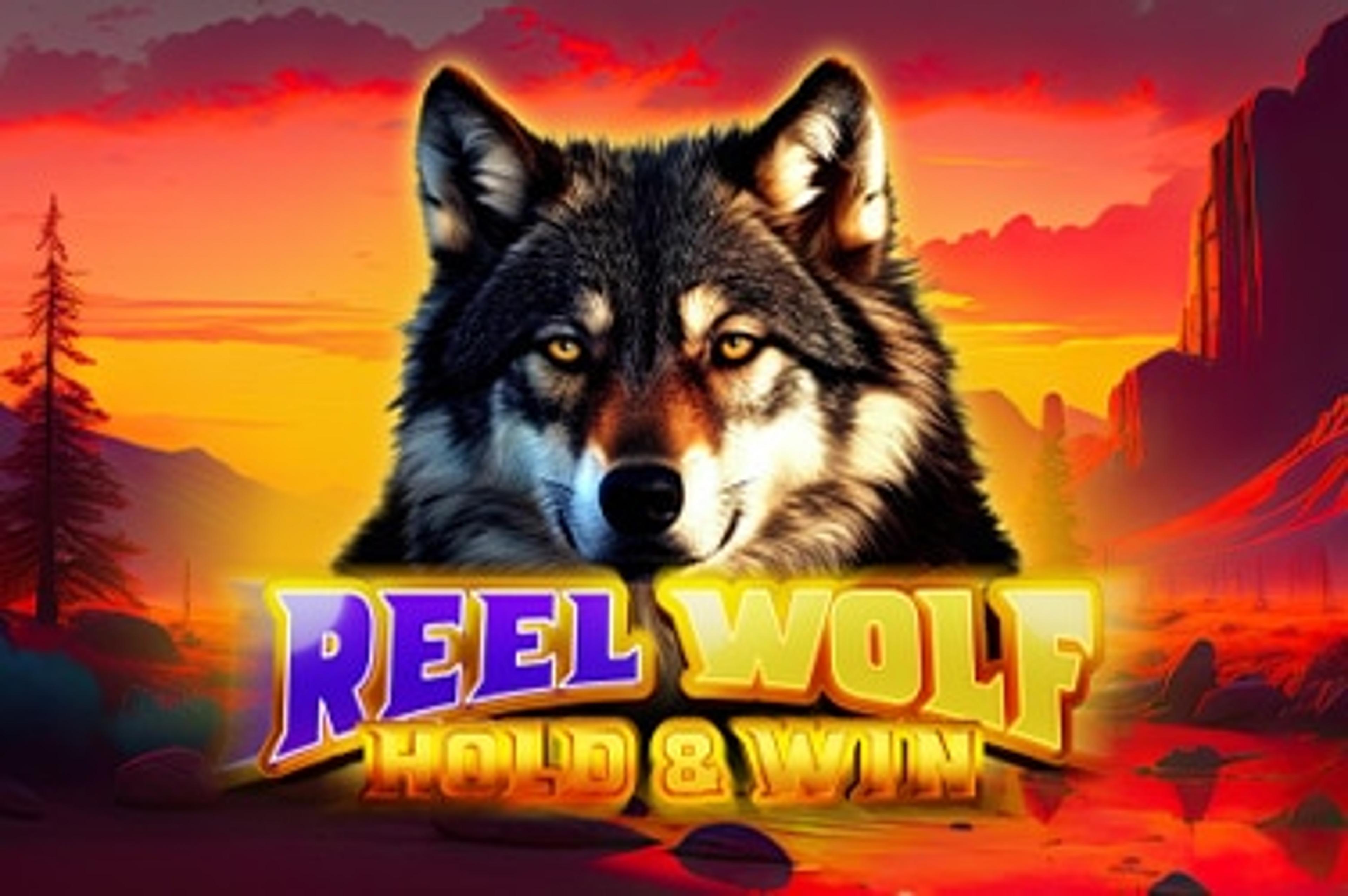 Reel Wolf