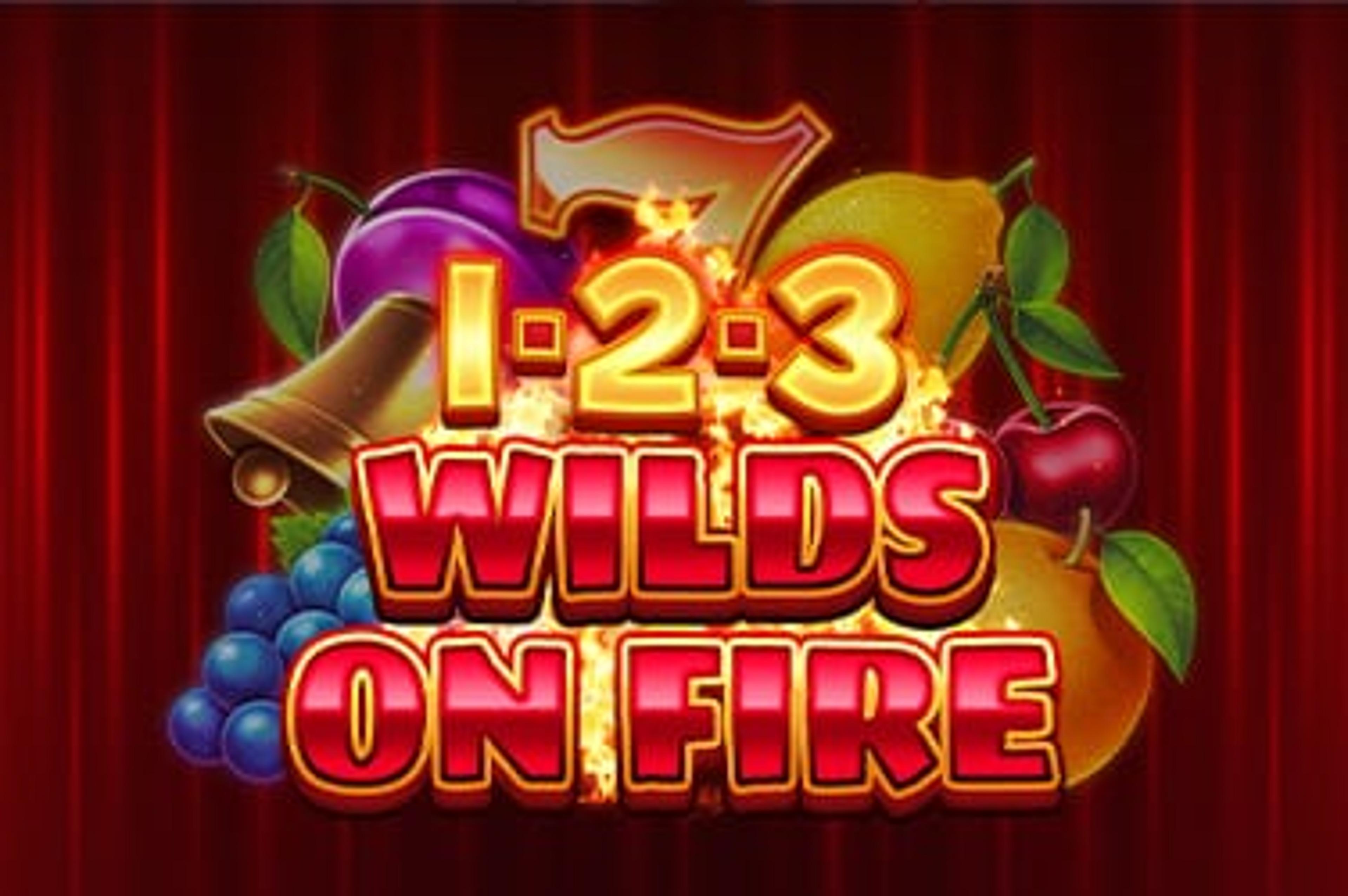 1-2-3 Wilds on Fire