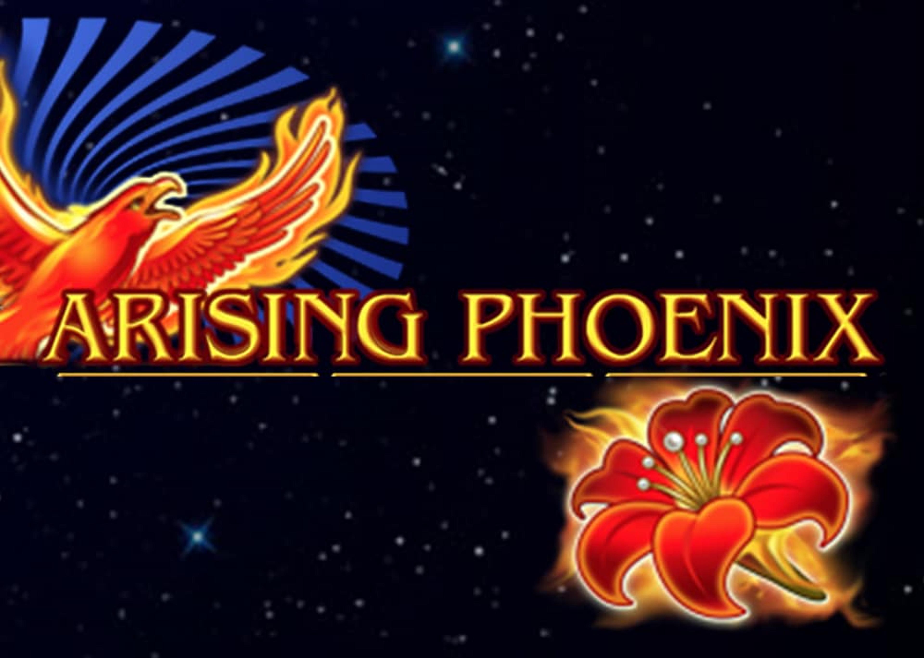 Arising Phoenix
