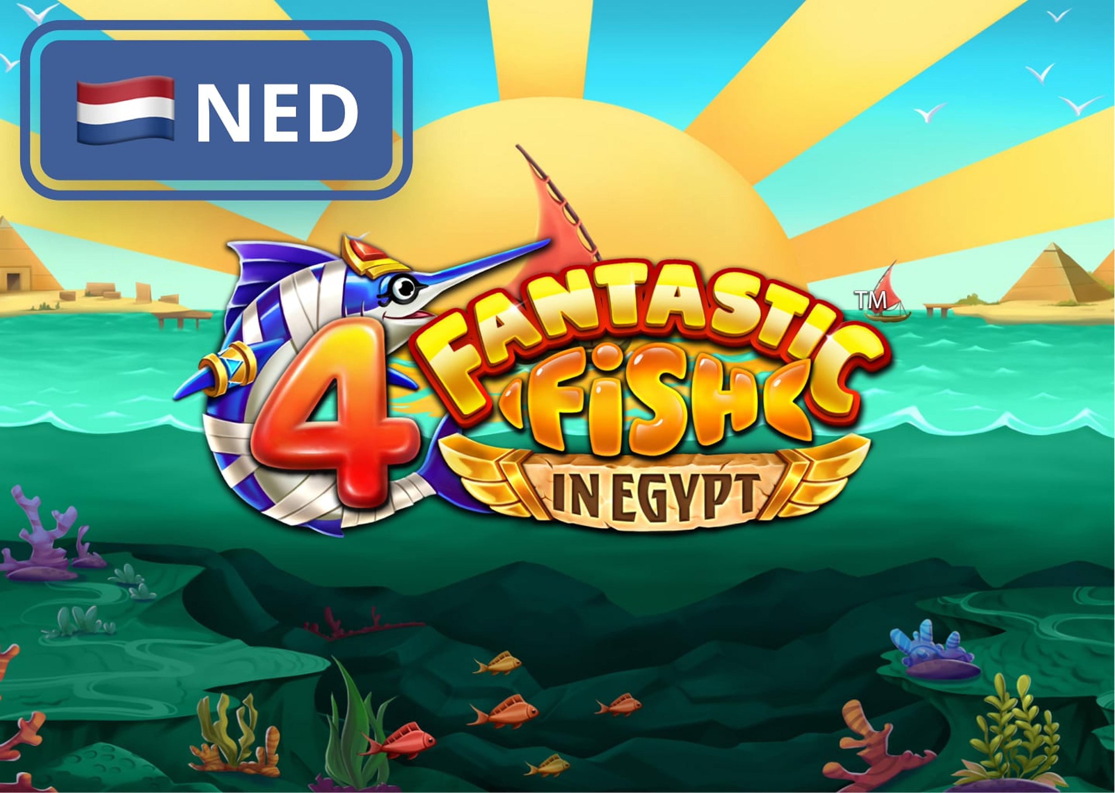 4 Fantastic Fish In Egypt