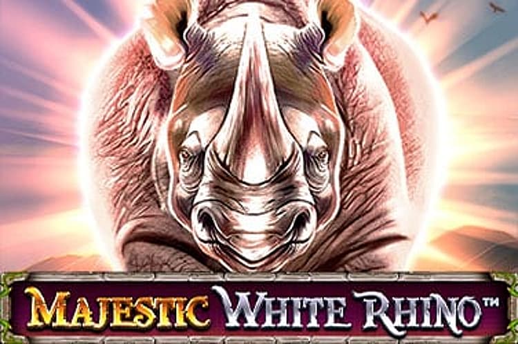 Majestic White Rhino
