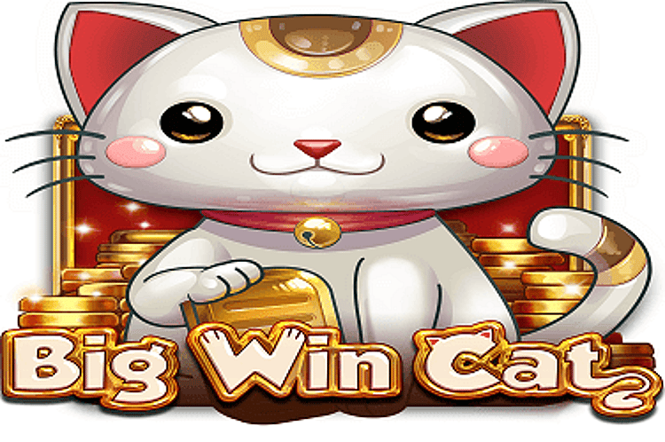 Big Win Cat