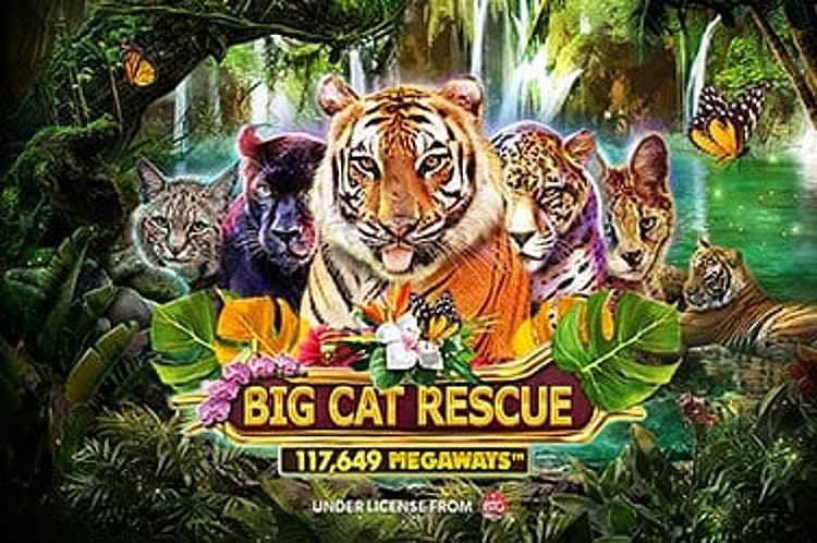 Big Cat Rescue Megaways™