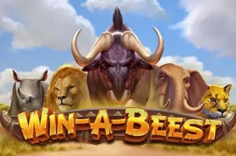 Win A Beest
