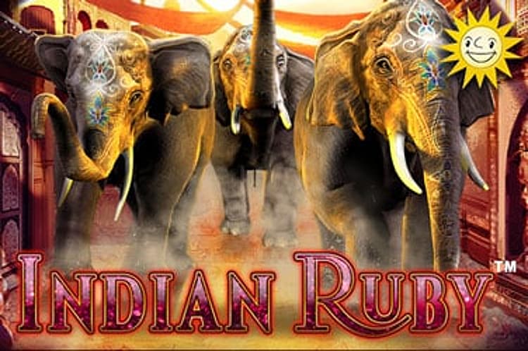 Indian Ruby