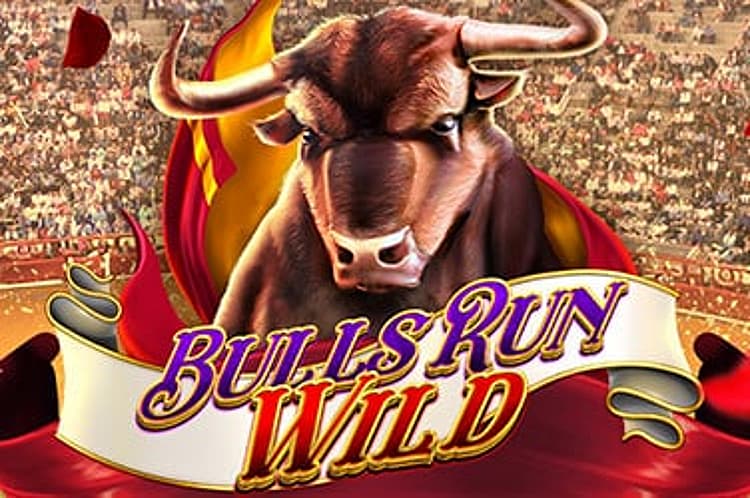 Bulls Run Wild