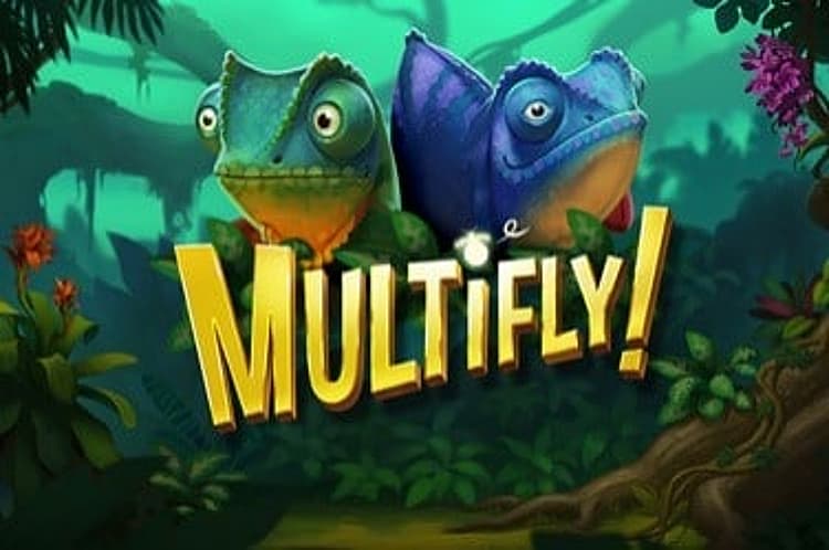MultiFly! Multimax