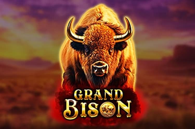 Grand Bison