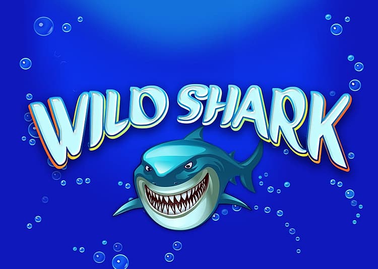 Wild Shark